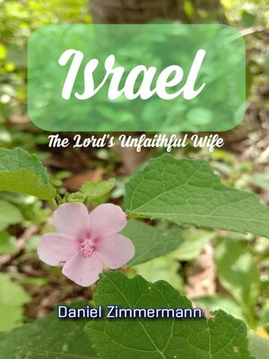 cover image of Israel